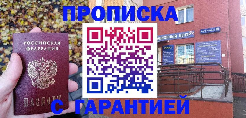 прописка в Северске